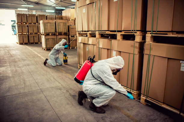 Best Flea Control Services  in Jal, NM