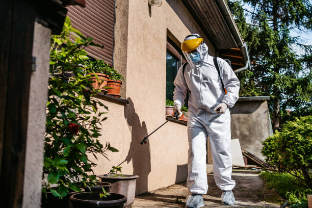 Best Best Pest Control Companies  in Jal, NM