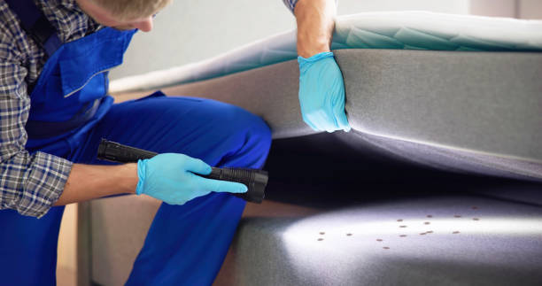 Best Pest Removal Services  in Jal, NM