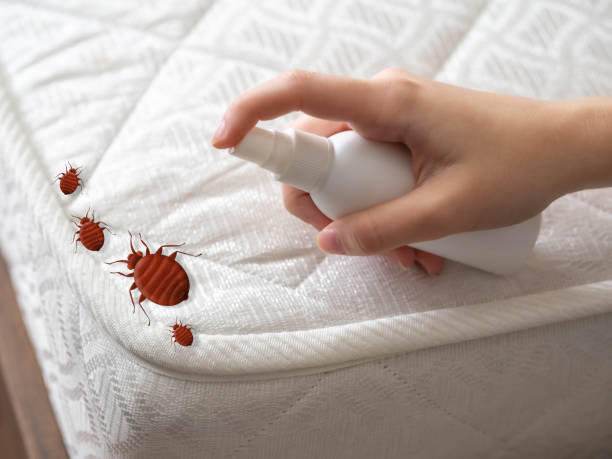 Best Residential Pest Control  in Jal, NM