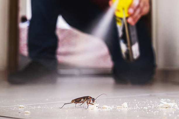 Best Best Pest Control Companies  in Jal, NM