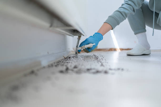 Best Affordable Pest Control Services  in Jal, NM