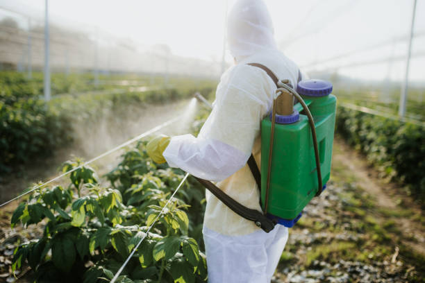 Best Emergency Pest Control  in Jal, NM